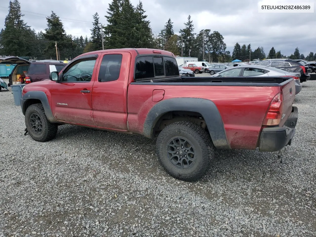 5TEUU42N28Z486389 2008 Toyota Tacoma Access Cab