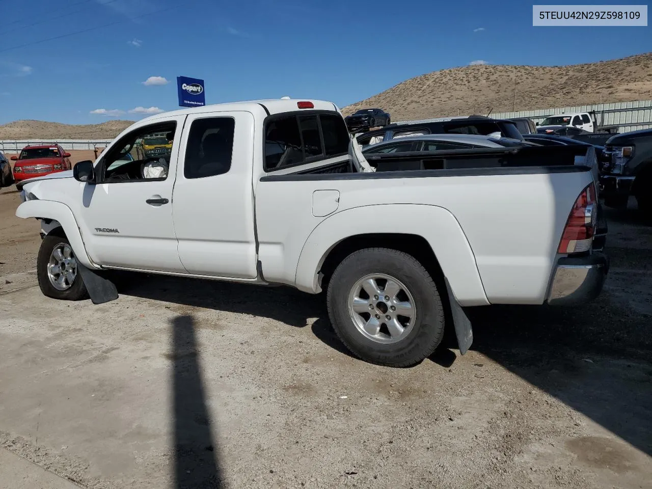 2009 Toyota Tacoma Access Cab VIN: 5TEUU42N29Z598109 Lot: 47885484