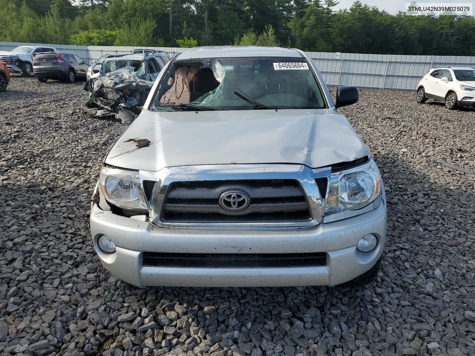 2009 Toyota Tacoma Double Cab VIN: 3TMLU42N39M025079 Lot: 64065604