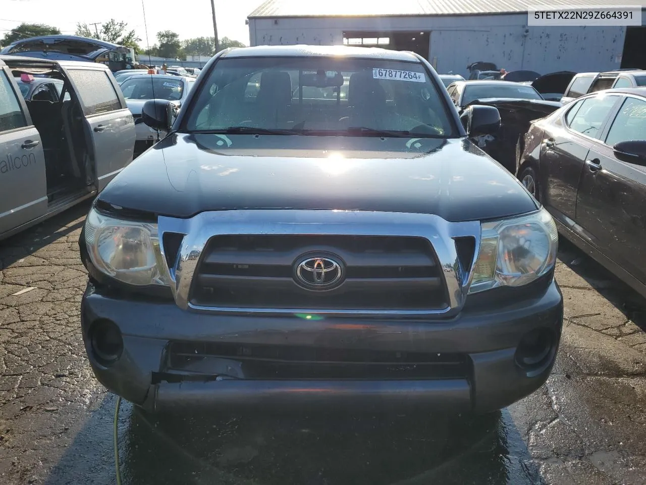 2009 Toyota Tacoma Access Cab VIN: 5TETX22N29Z664391 Lot: 67877264