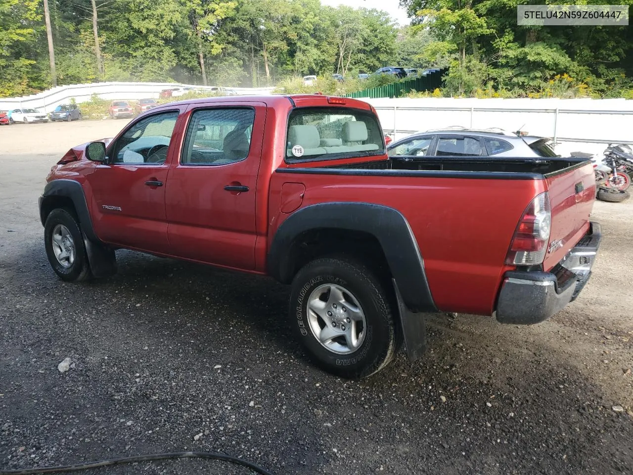 2009 Toyota Tacoma Double Cab VIN: 5TELU42N59Z604447 Lot: 68986284