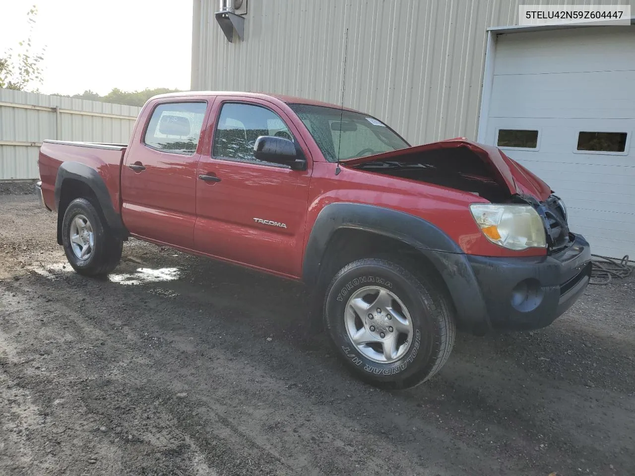 5TELU42N59Z604447 2009 Toyota Tacoma Double Cab