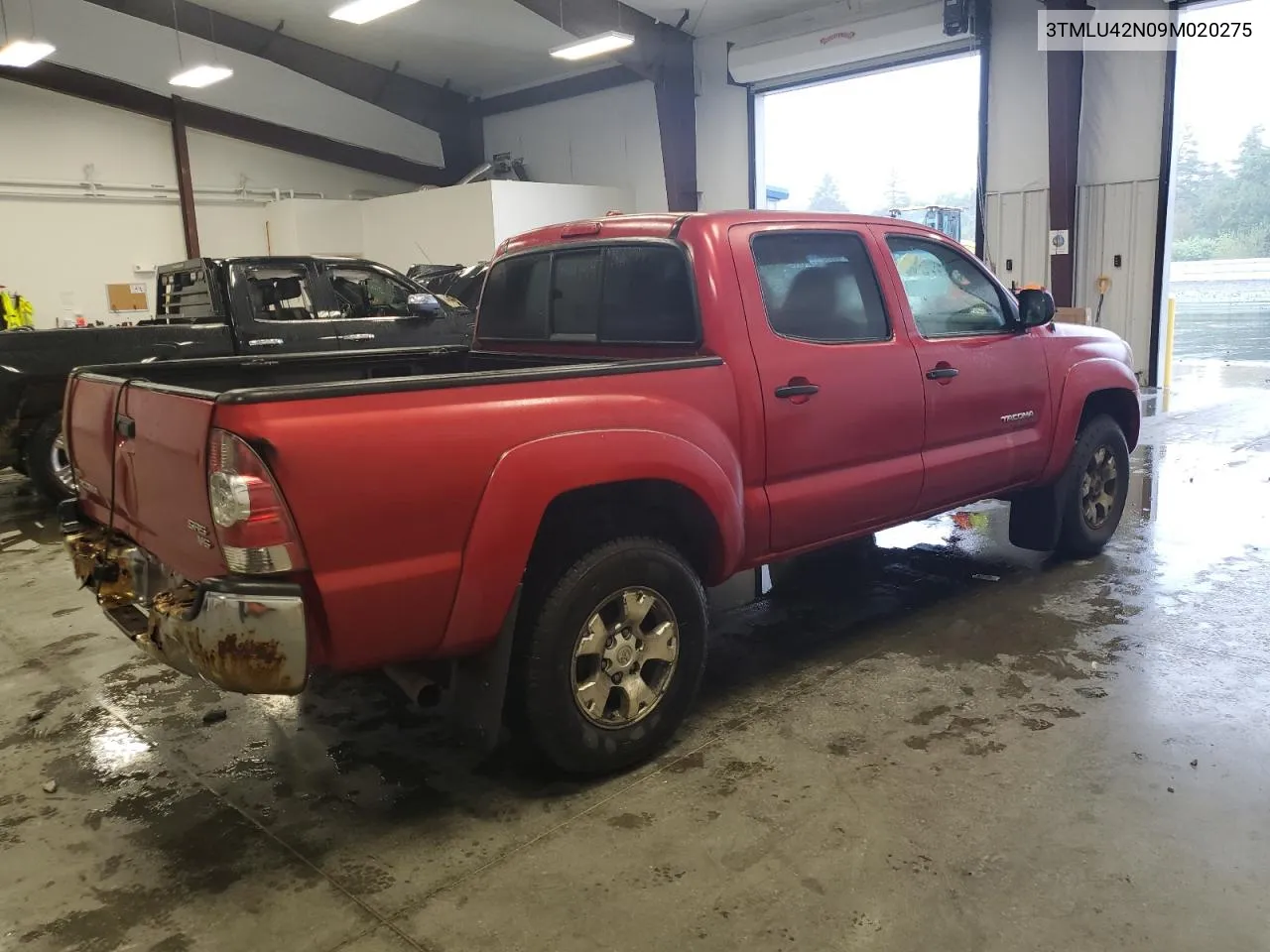 2009 Toyota Tacoma Double Cab VIN: 3TMLU42N09M020275 Lot: 73203334