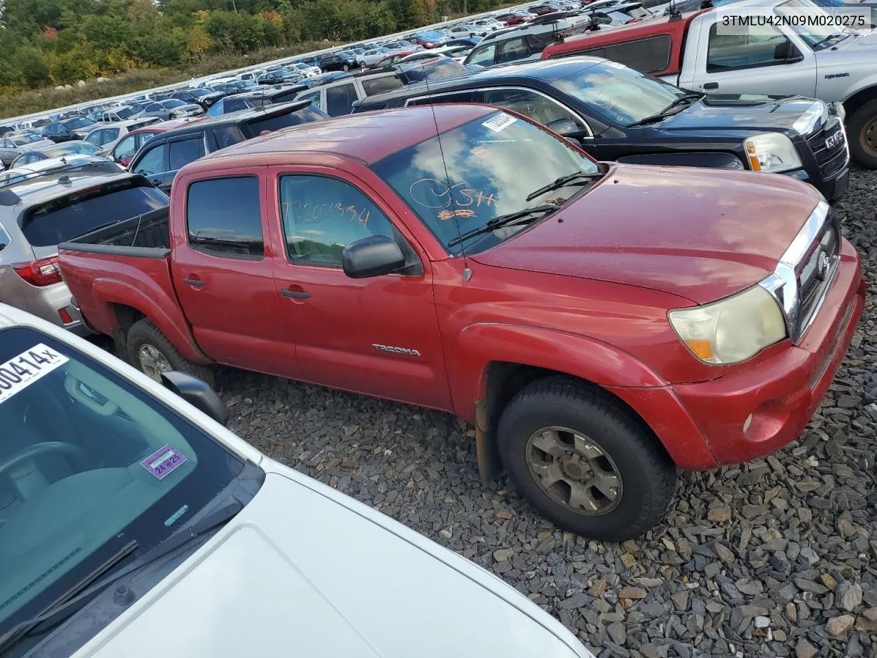 2009 Toyota Tacoma Double Cab VIN: 3TMLU42N09M020275 Lot: 73203334