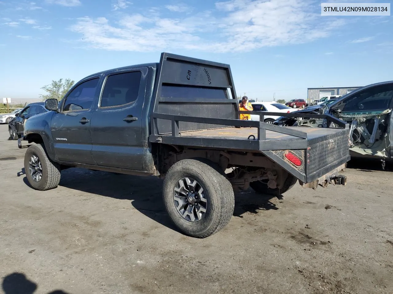 2009 Toyota Tacoma Double Cab VIN: 3TMLU42N09M028134 Lot: 73361864