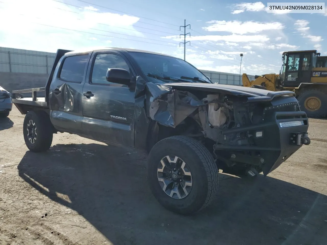 2009 Toyota Tacoma Double Cab VIN: 3TMLU42N09M028134 Lot: 73361864