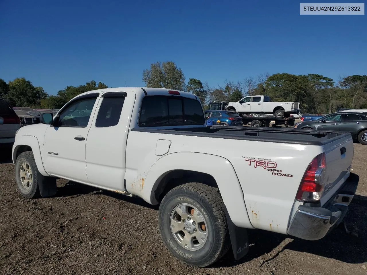 2009 Toyota Tacoma Access Cab VIN: 5TEUU42N29Z613322 Lot: 73547754