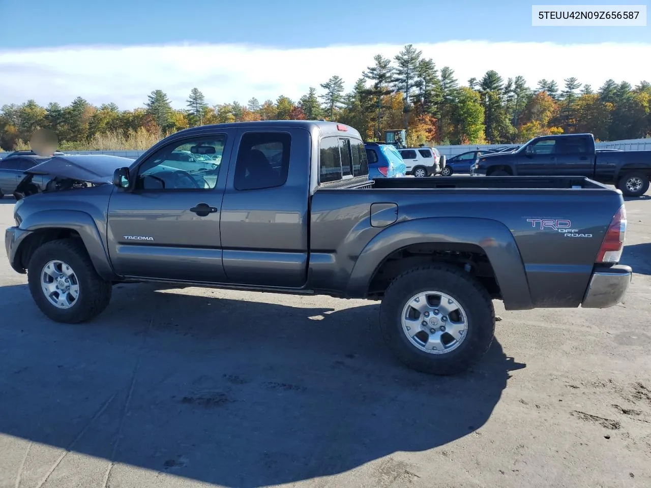 2009 Toyota Tacoma Access Cab VIN: 5TEUU42N09Z656587 Lot: 76266364