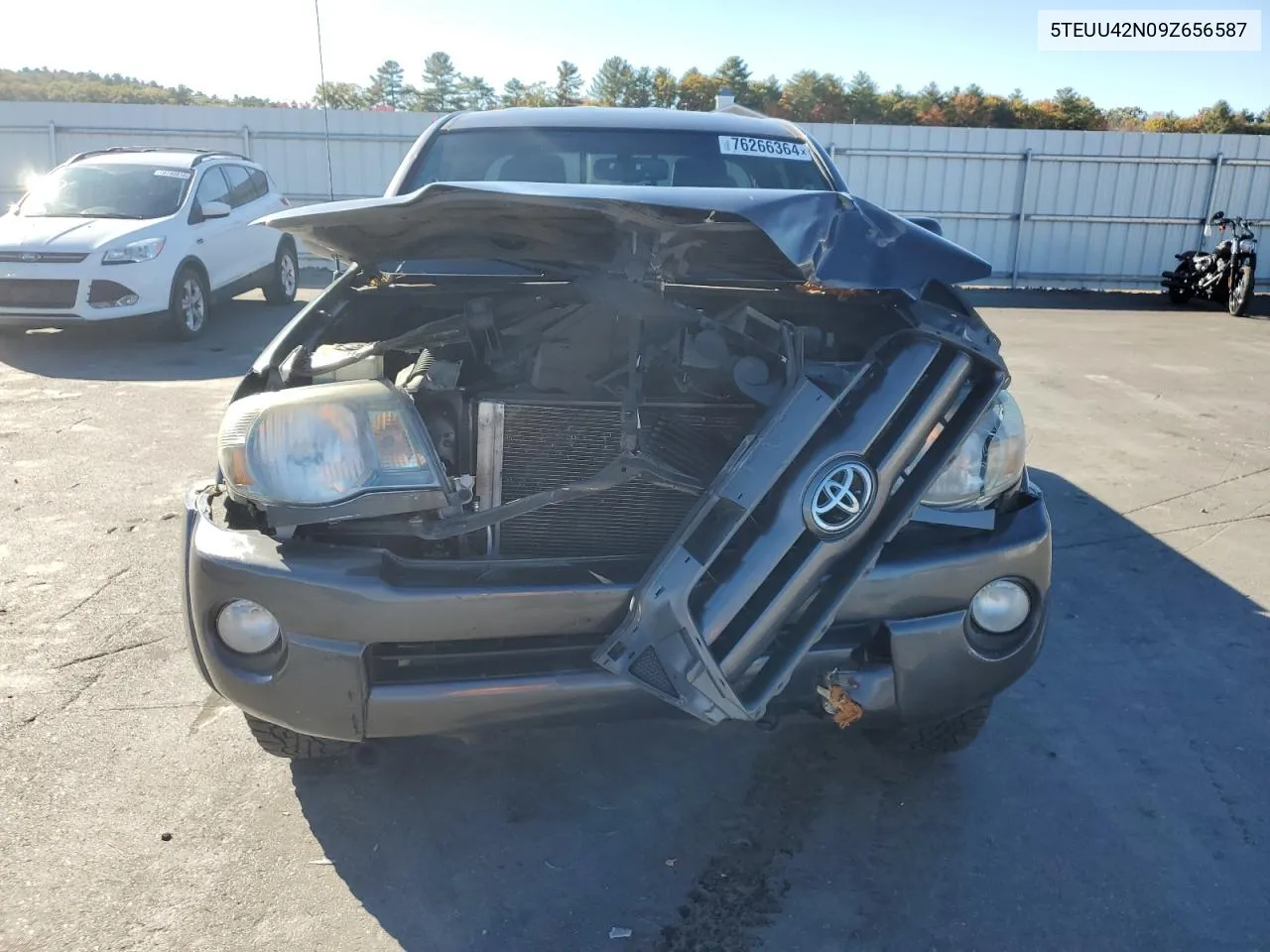 2009 Toyota Tacoma Access Cab VIN: 5TEUU42N09Z656587 Lot: 76266364