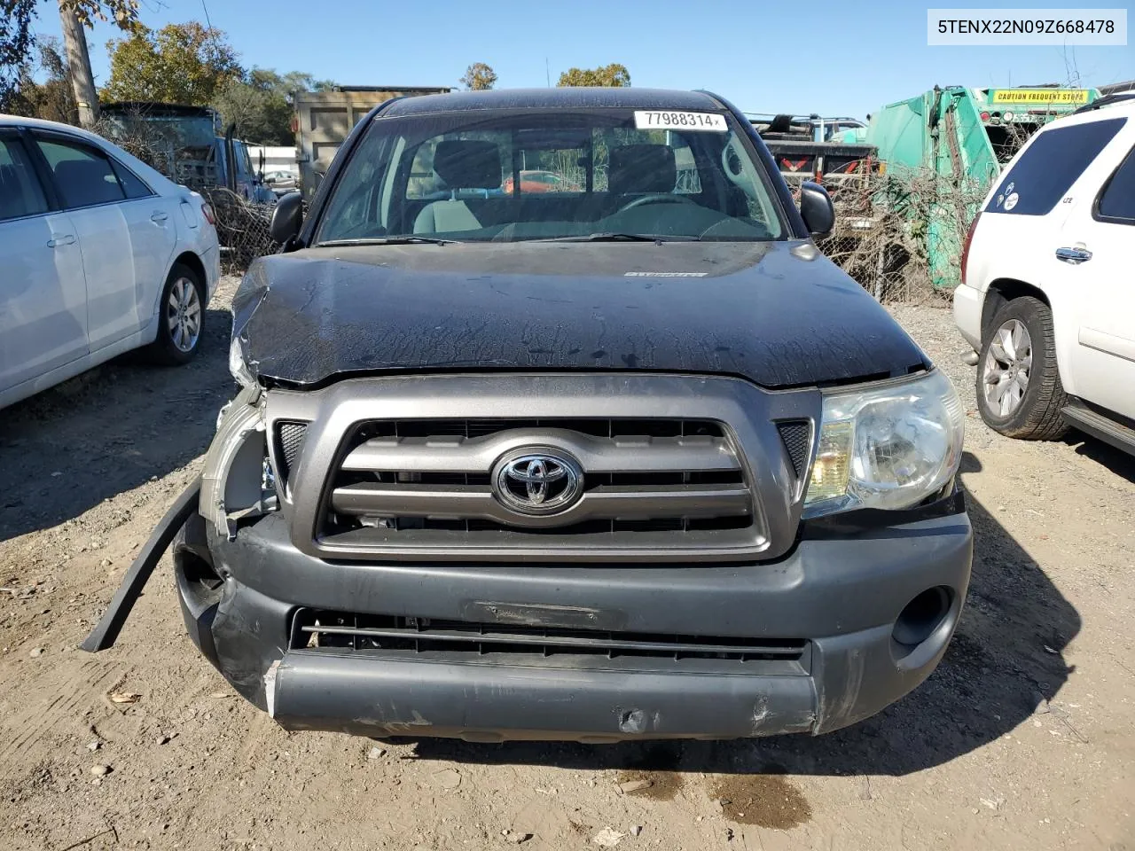 2009 Toyota Tacoma VIN: 5TENX22N09Z668478 Lot: 77988314