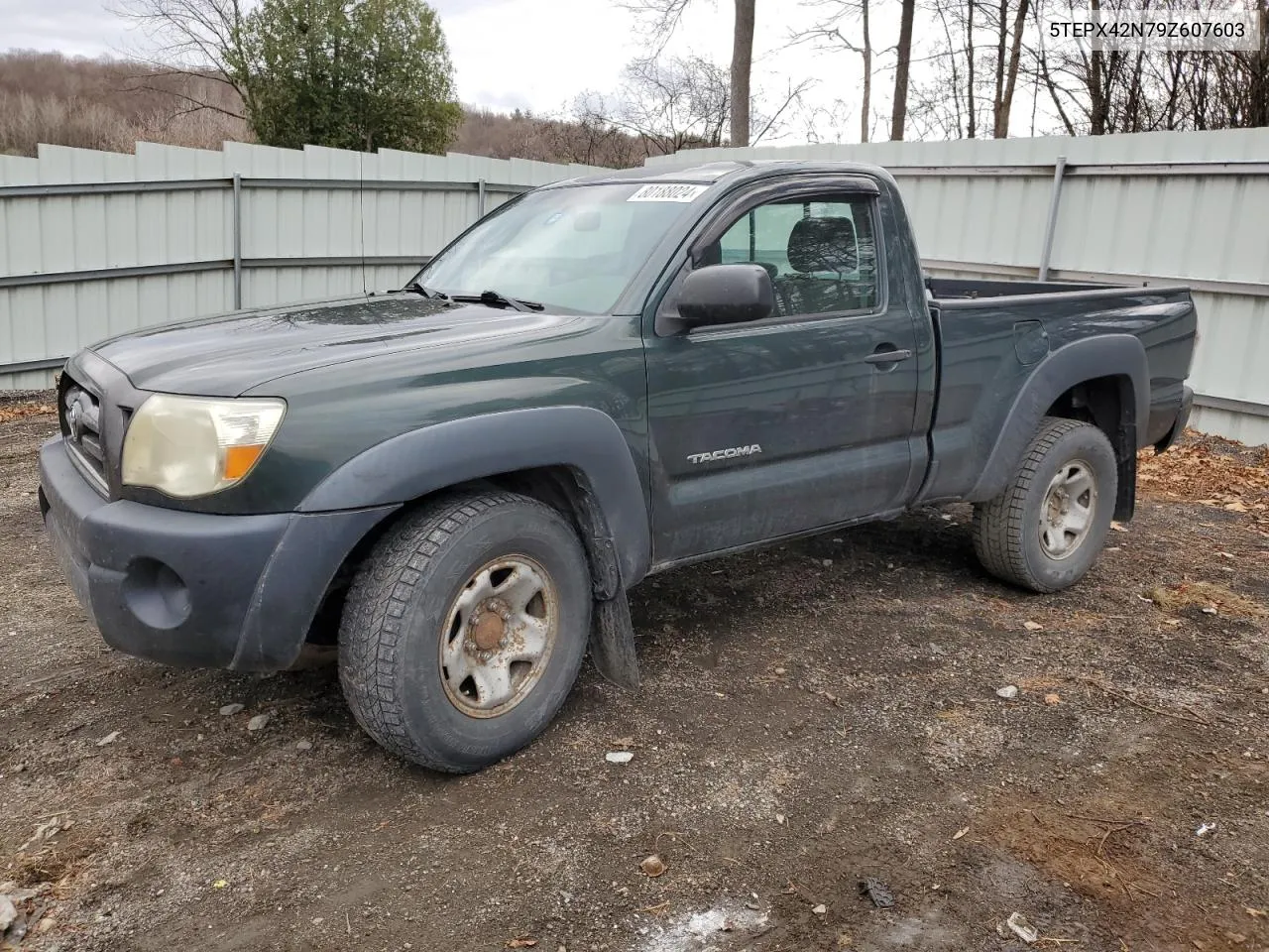 2009 Toyota Tacoma VIN: 5TEPX42N79Z607603 Lot: 80188024