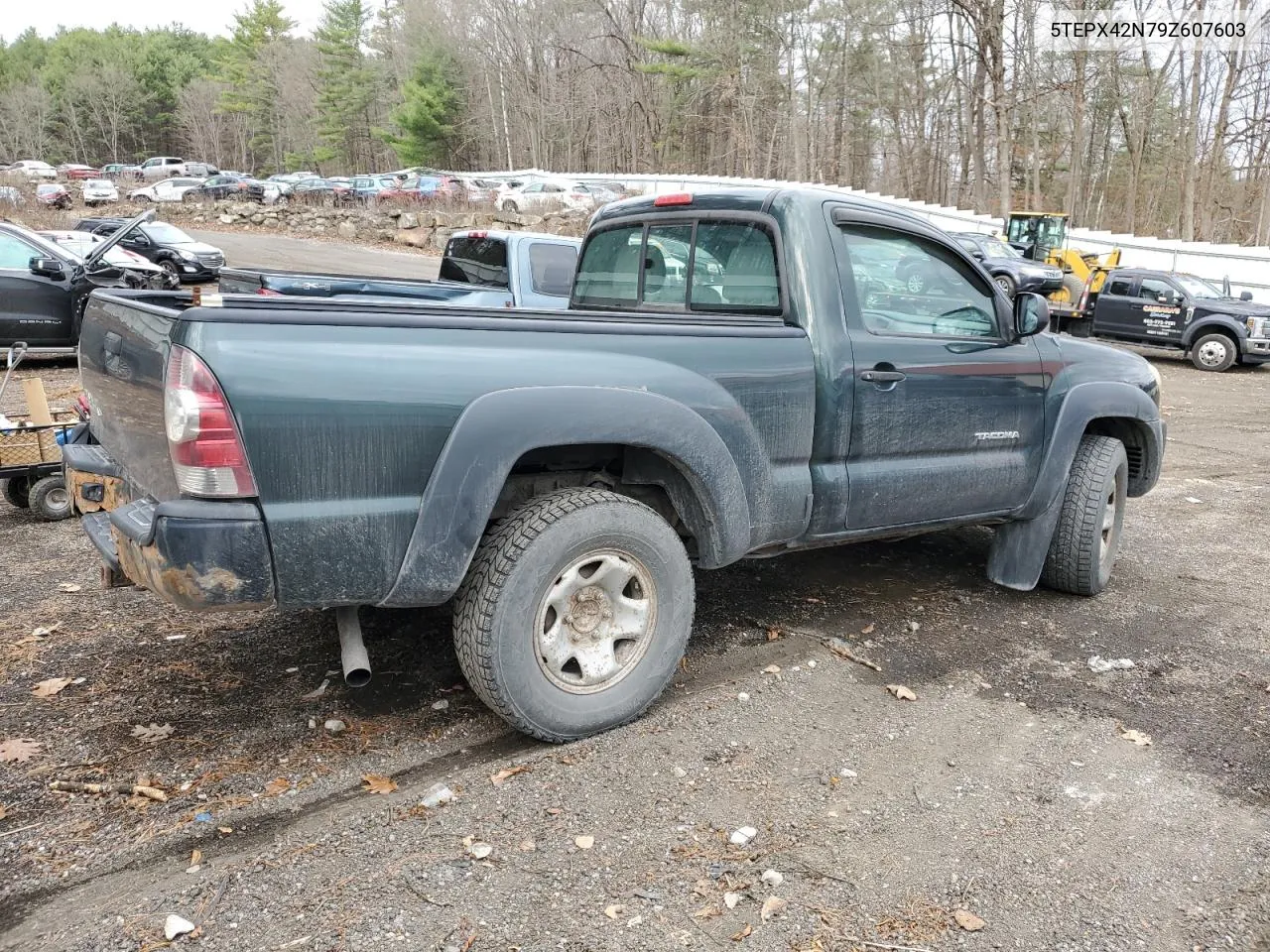 2009 Toyota Tacoma VIN: 5TEPX42N79Z607603 Lot: 80188024