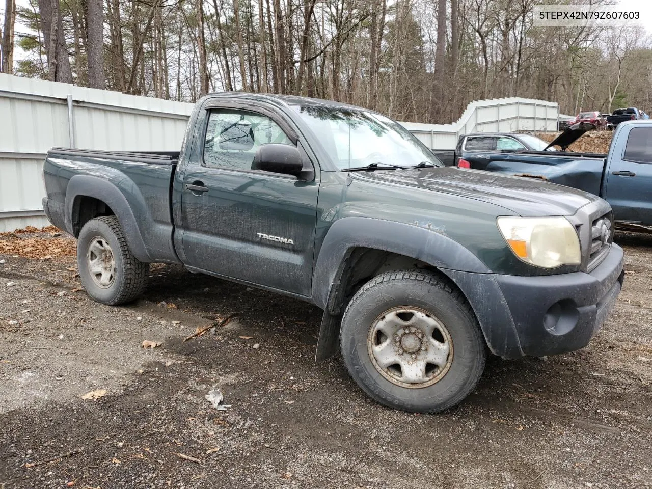 2009 Toyota Tacoma VIN: 5TEPX42N79Z607603 Lot: 80188024