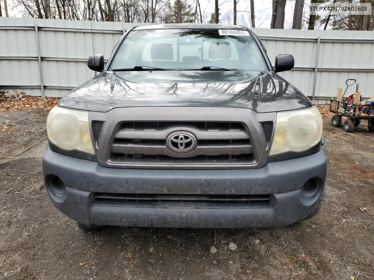 2009 Toyota Tacoma VIN: 5TEPX42N79Z607603 Lot: 80188024