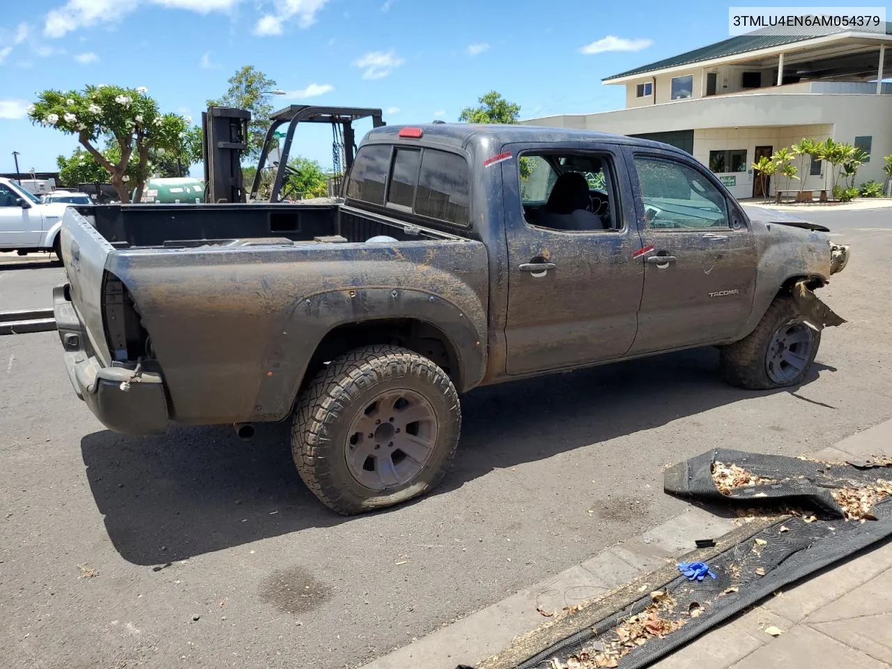 3TMLU4EN6AM054379 2010 Toyota Tacoma Double Cab