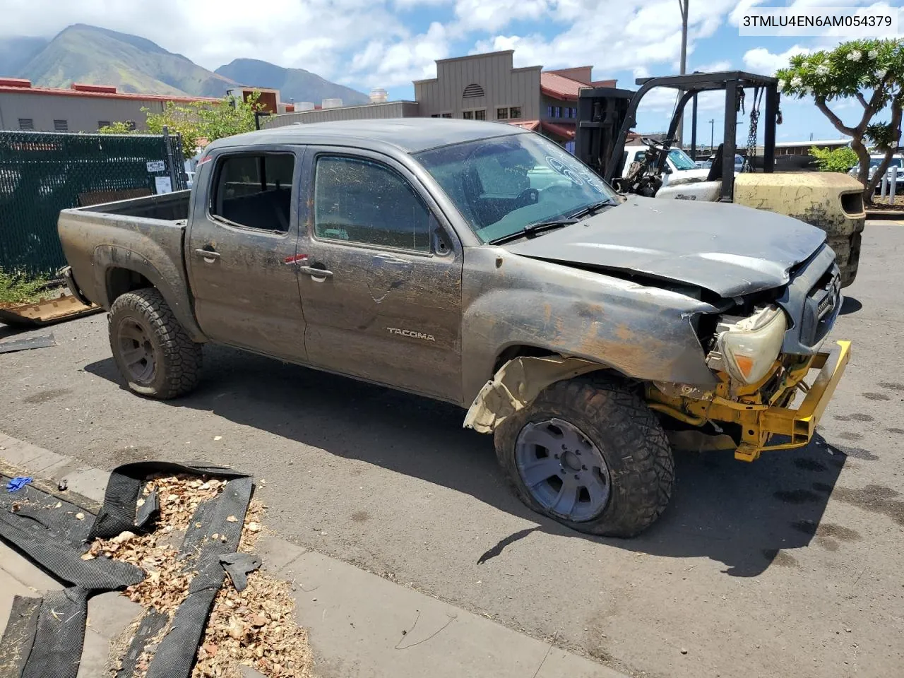 3TMLU4EN6AM054379 2010 Toyota Tacoma Double Cab