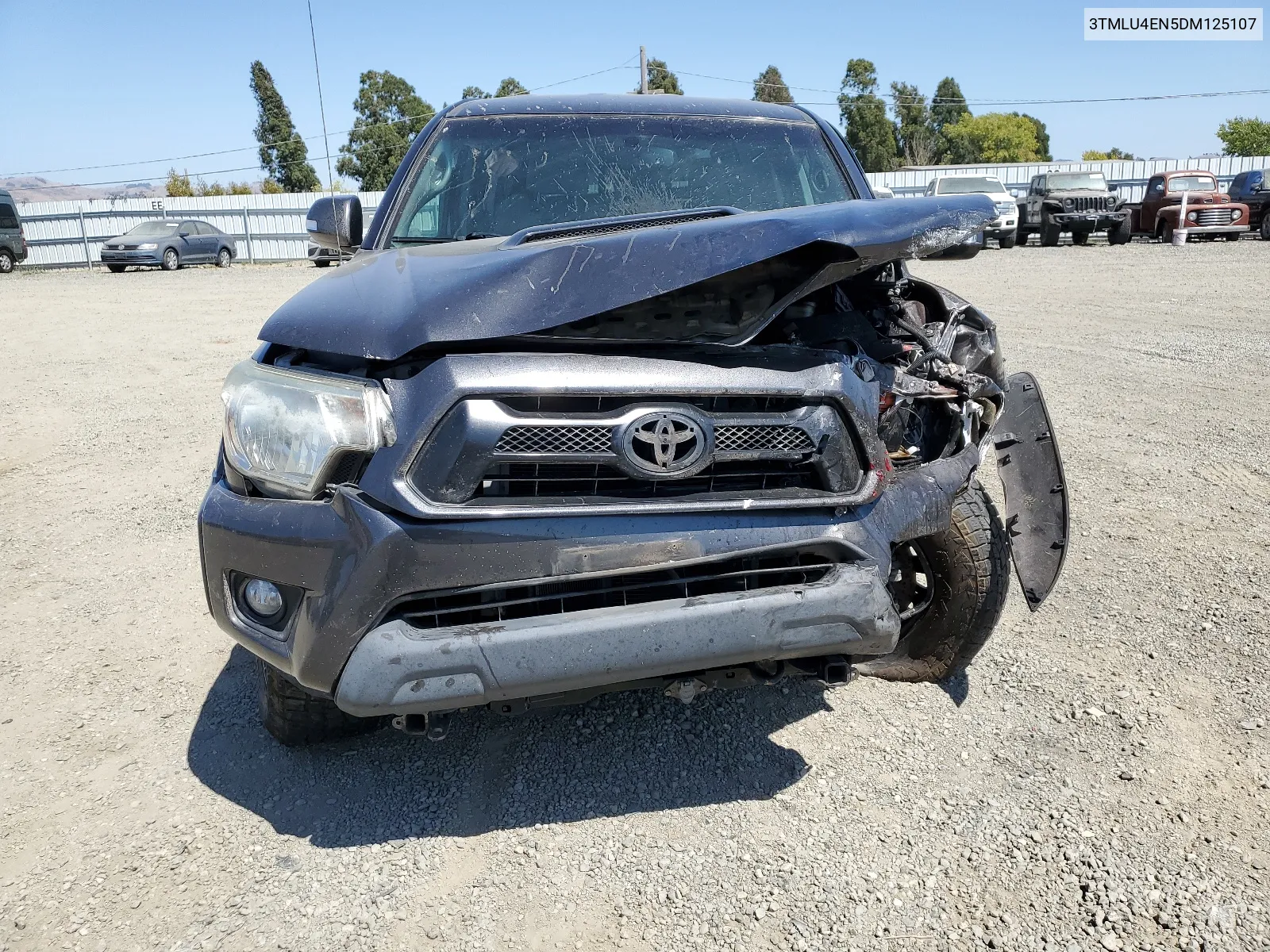 2013 Toyota Tacoma Double Cab VIN: 3TMLU4EN5DM125107 Lot: 66435204