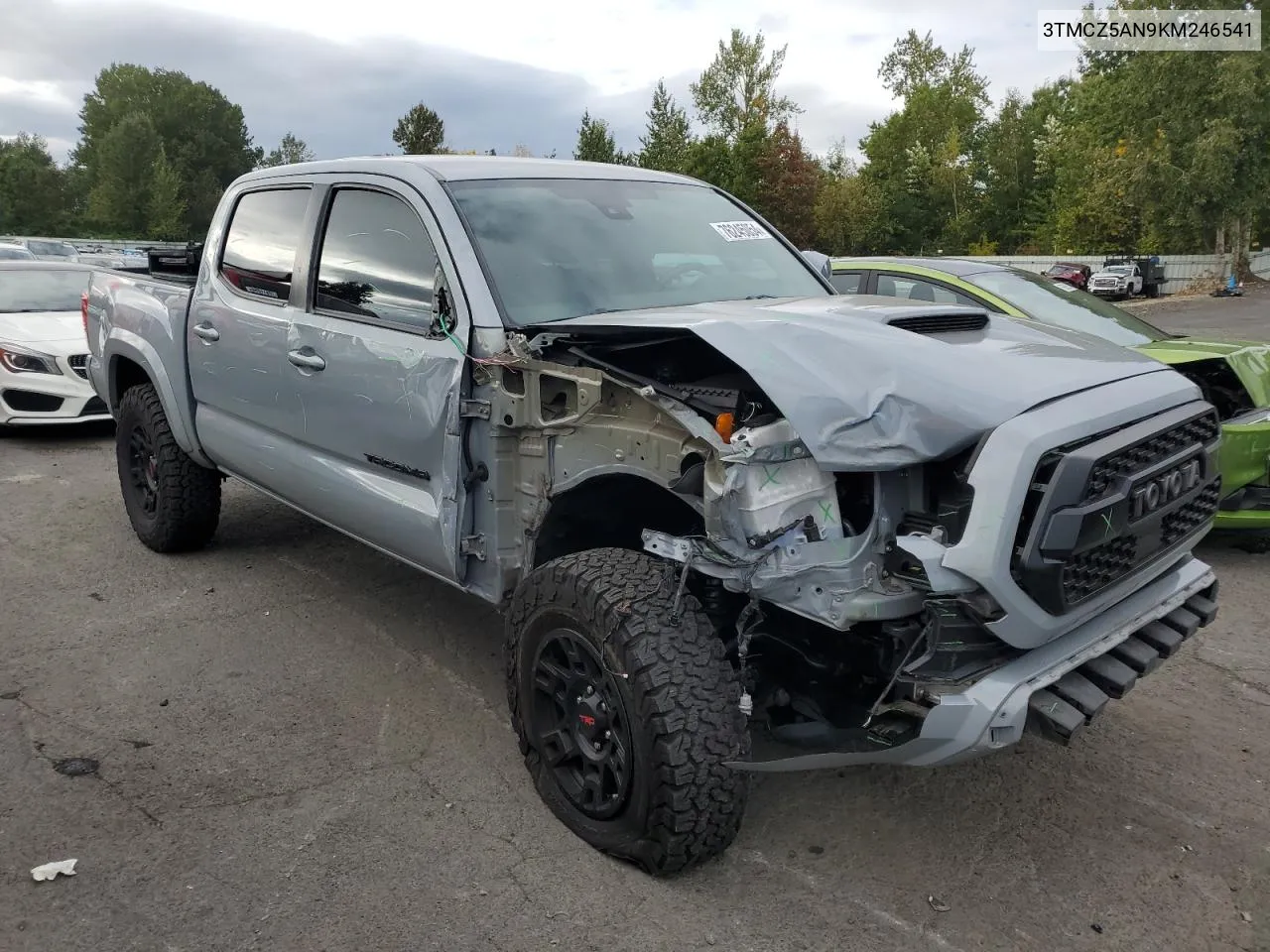 2019 Toyota Tacoma Double Cab VIN: 3TMCZ5AN9KM246541 Lot: 76245054