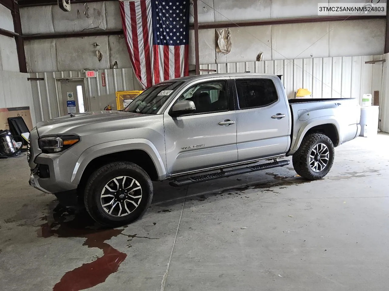 2022 Toyota Tacoma Double Cab VIN: 3TMCZ5AN6NM524803 Lot: 78438024