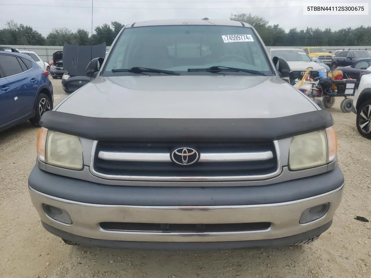 2002 Toyota Tundra Access Cab Sr5 VIN: 5TBBN44112S300675 Lot: 74599774