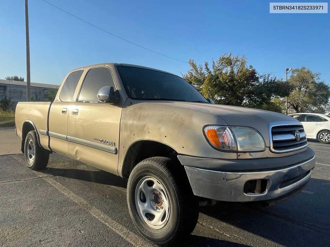 2002 Toyota Tundra Access Cab Sr5 VIN: 5TBRN34182S233971 Lot: 78283134