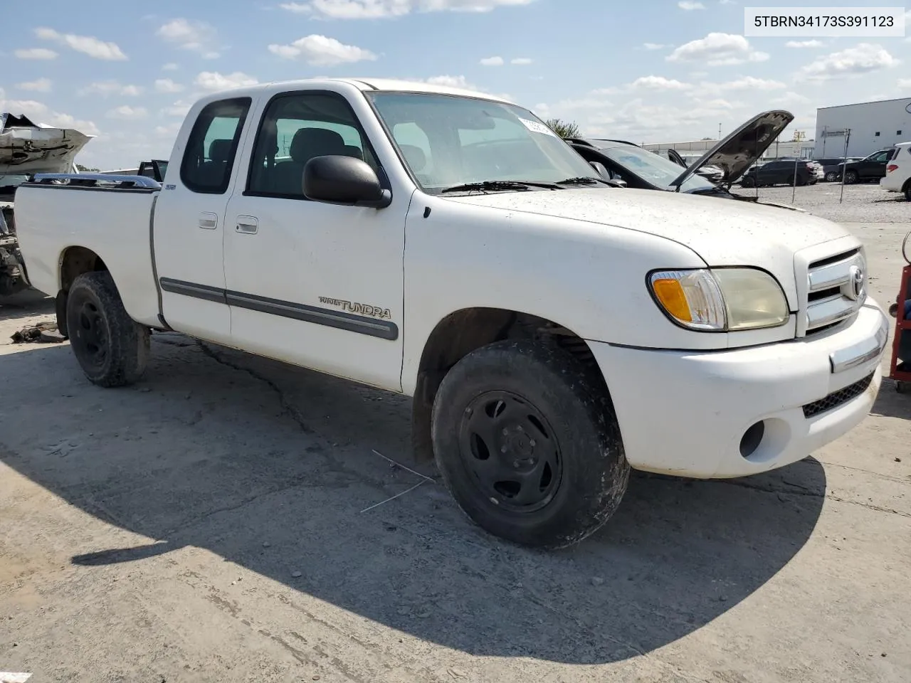 2003 Toyota Tundra Access Cab Sr5 VIN: 5TBRN34173S391123 Lot: 72356194