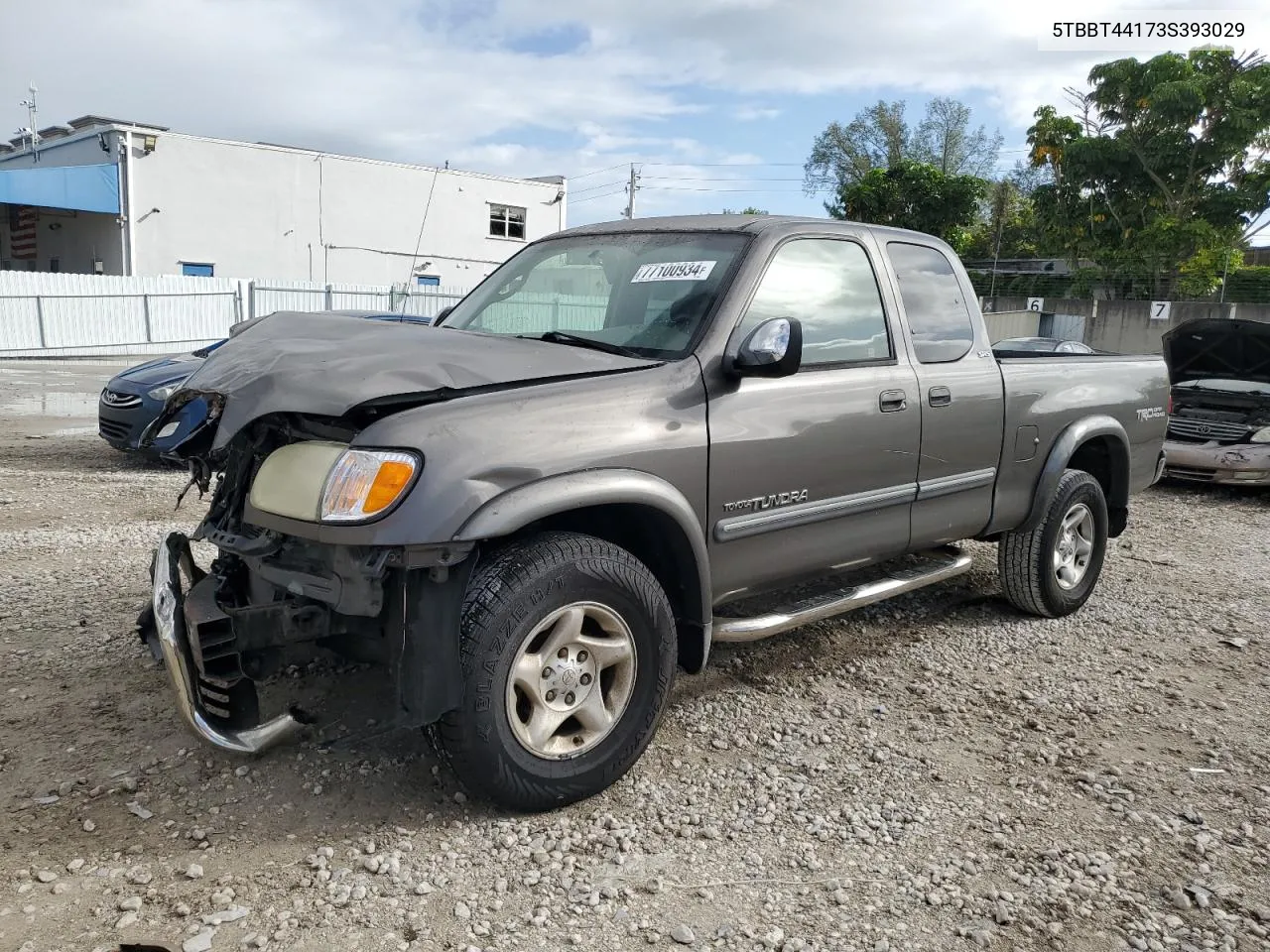 2003 Toyota Tundra Access Cab Sr5 VIN: 5TBBT44173S393029 Lot: 77100934