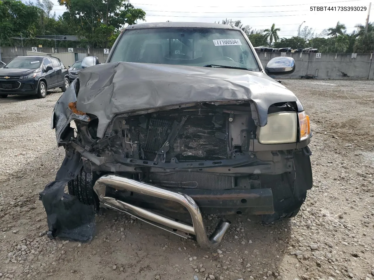 2003 Toyota Tundra Access Cab Sr5 VIN: 5TBBT44173S393029 Lot: 77100934