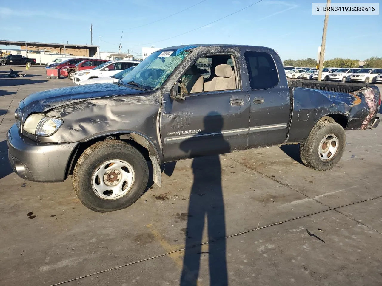 2003 Toyota Tundra Access Cab Sr5 VIN: 5TBRN34193S389616 Lot: 80069454