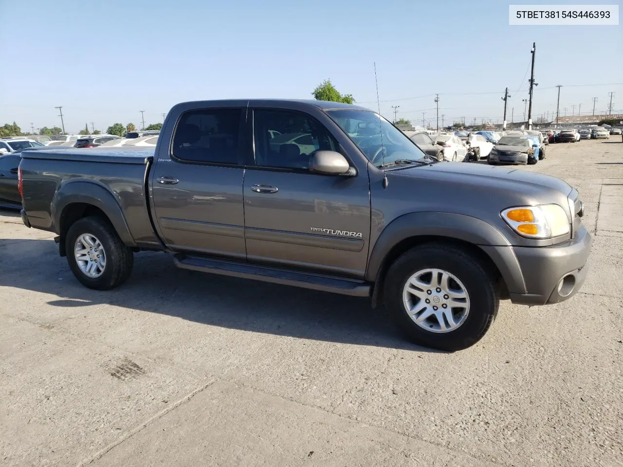 2004 Toyota Tundra Double Cab Limited VIN: 5TBET38154S446393 Lot: 60345034