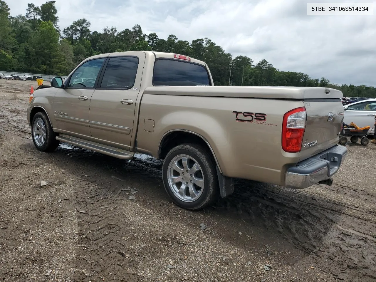 2006 Toyota Tundra Double Cab Sr5 VIN: 5TBET34106S514334 Lot: 63378074