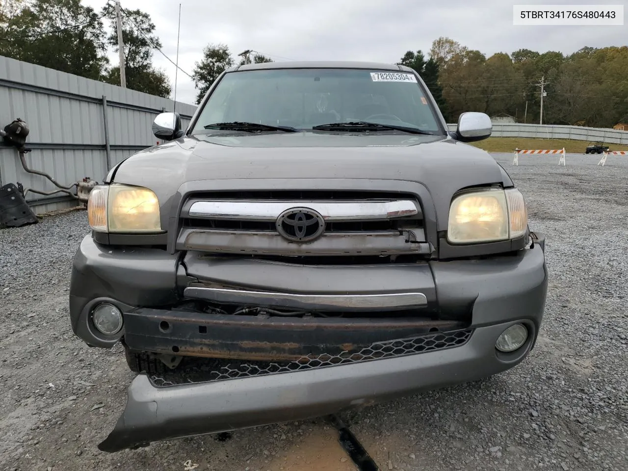 2006 Toyota Tundra Access Cab Sr5 VIN: 5TBRT34176S480443 Lot: 78205304