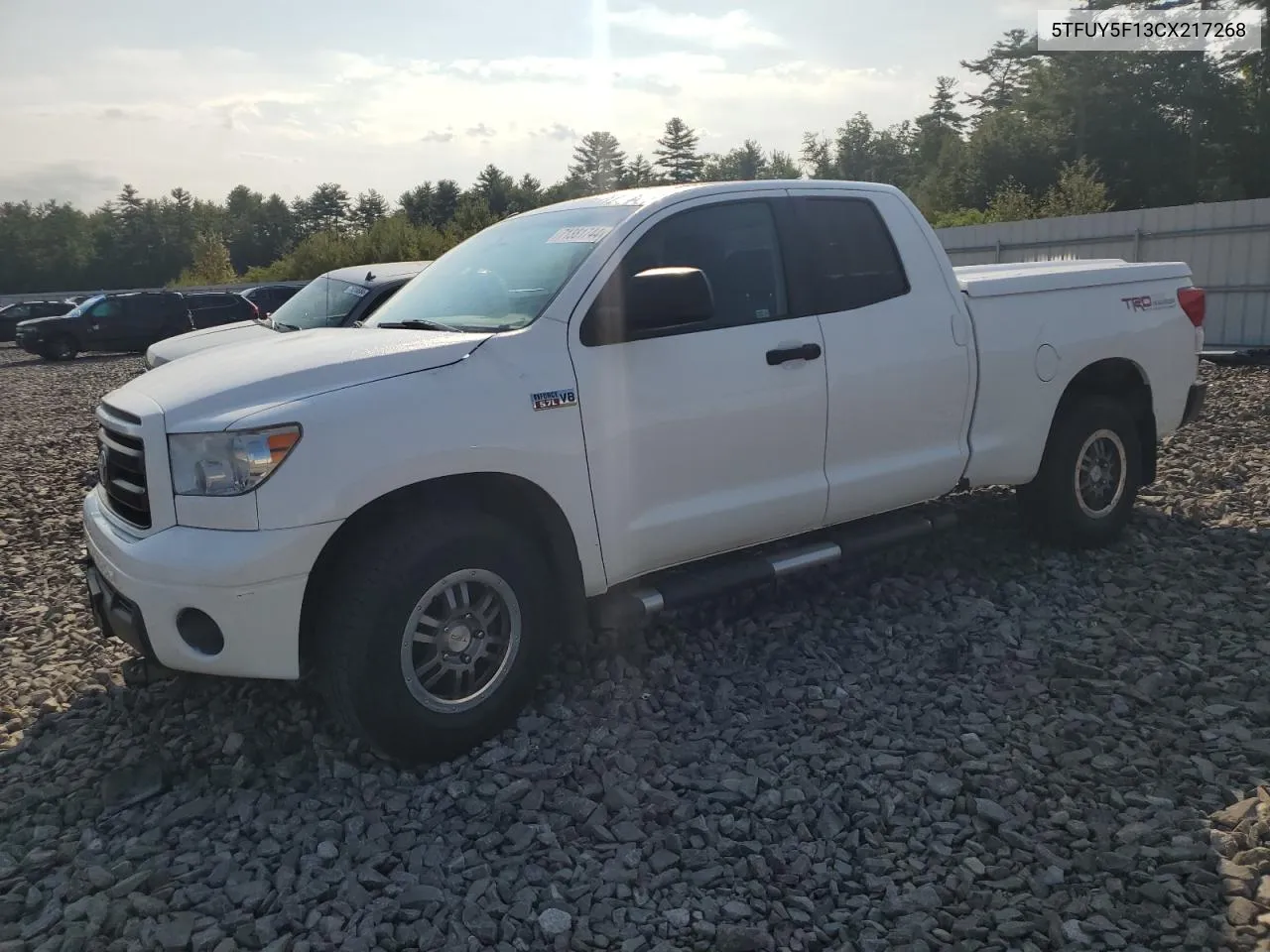 2012 Toyota Tundra Double Cab Sr5 VIN: 5TFUY5F13CX217268 Lot: 71381744