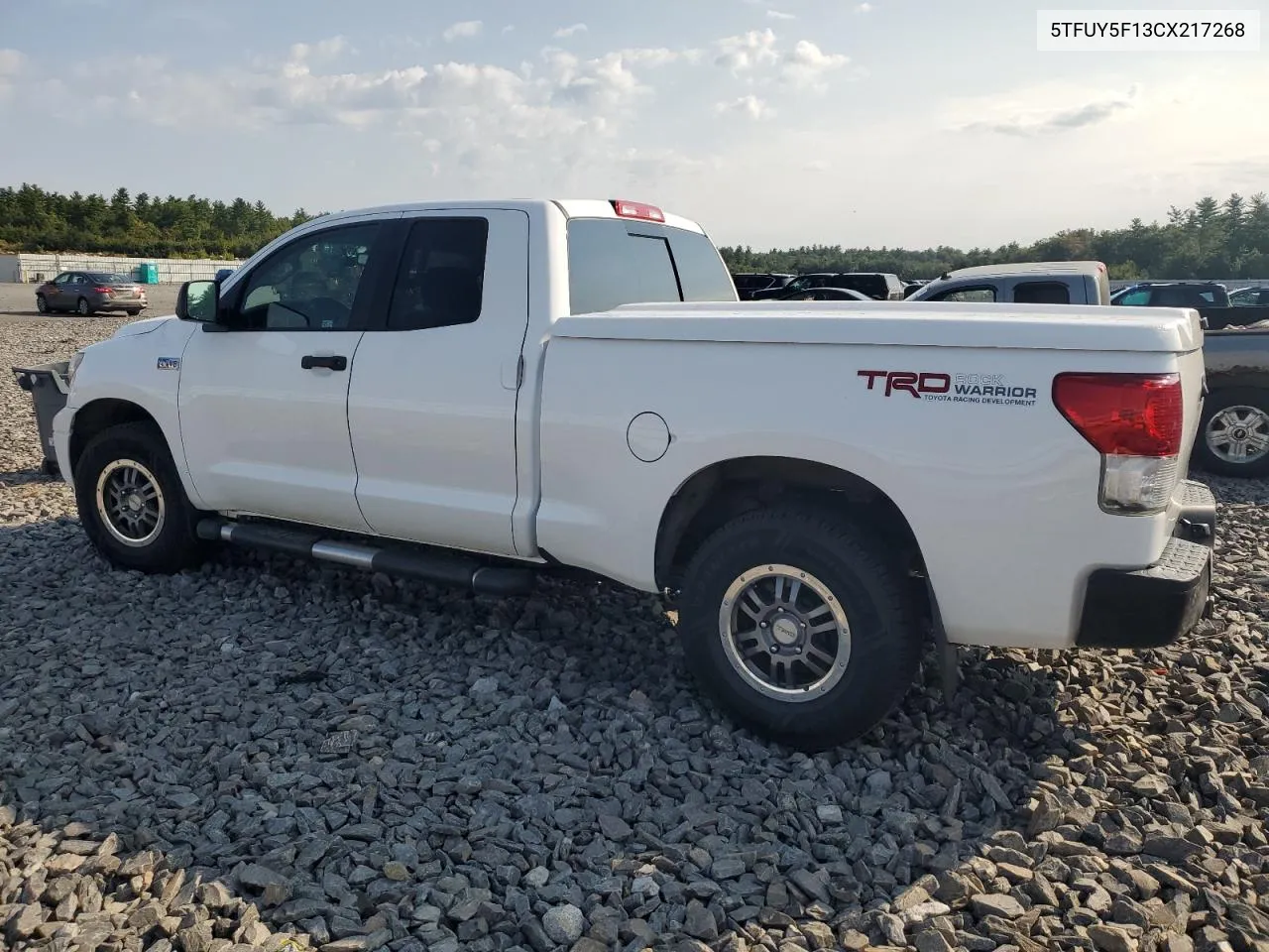 2012 Toyota Tundra Double Cab Sr5 VIN: 5TFUY5F13CX217268 Lot: 71381744