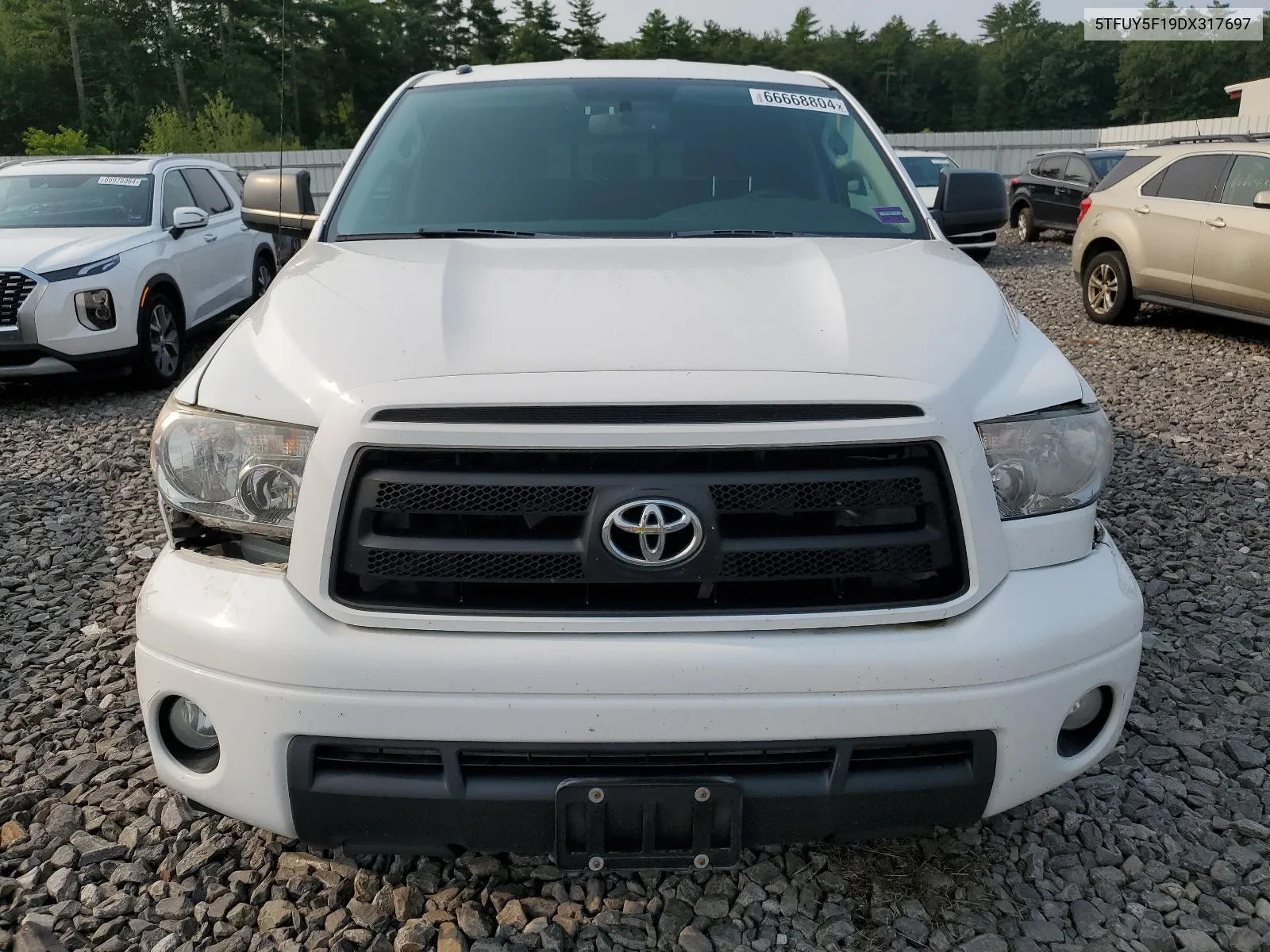 2013 Toyota Tundra Double Cab Sr5 VIN: 5TFUY5F19DX317697 Lot: 66668804