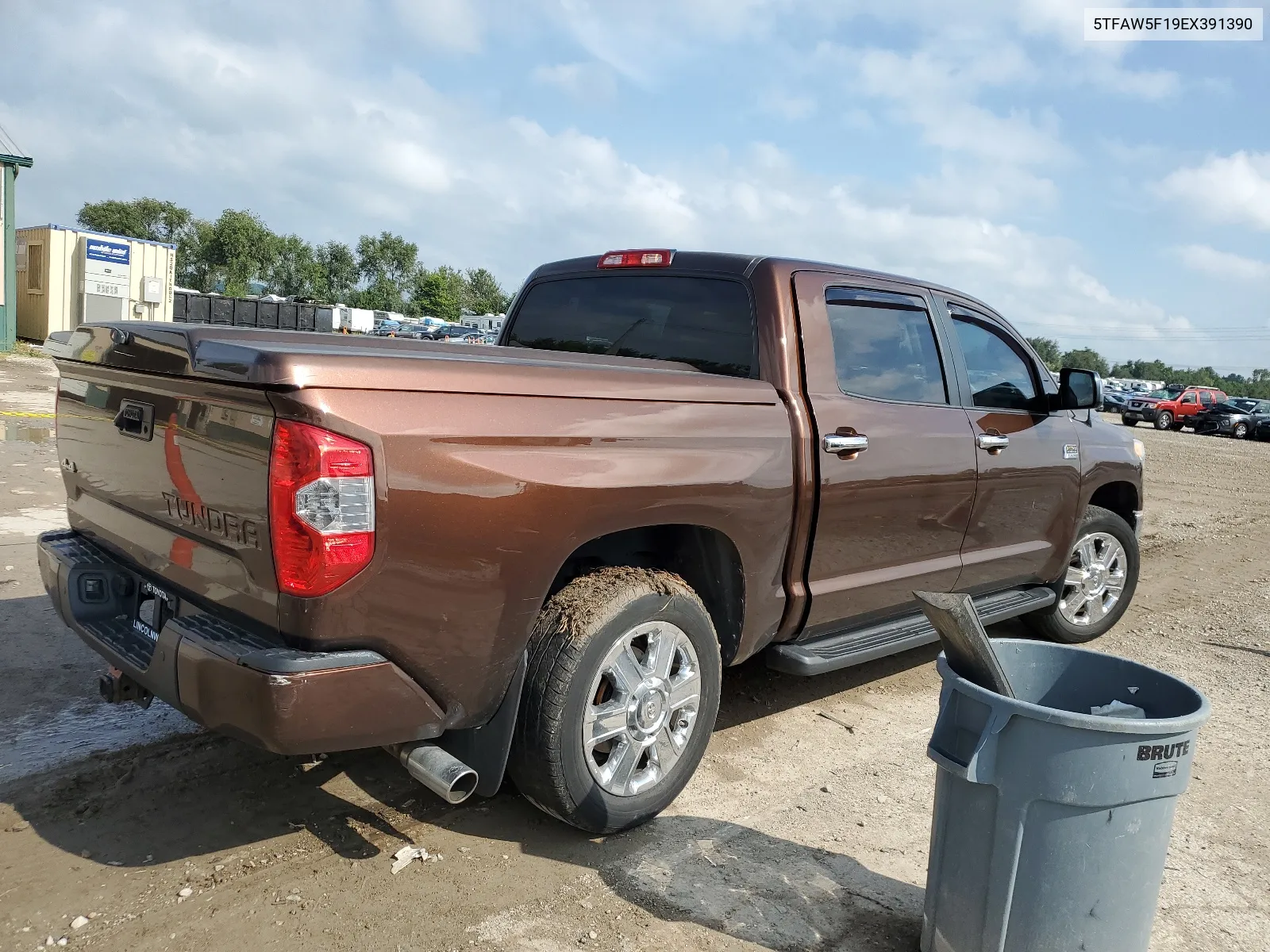 2014 Toyota Tundra Crewmax Platinum VIN: 5TFAW5F19EX391390 Lot: 67598714