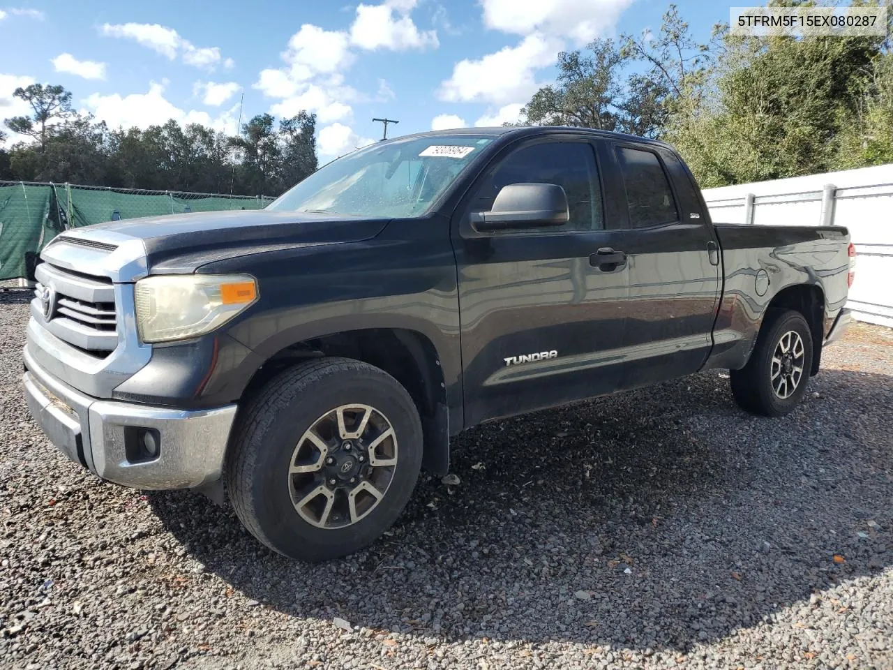 2014 Toyota Tundra Double Cab Sr VIN: 5TFRM5F15EX080287 Lot: 79308964