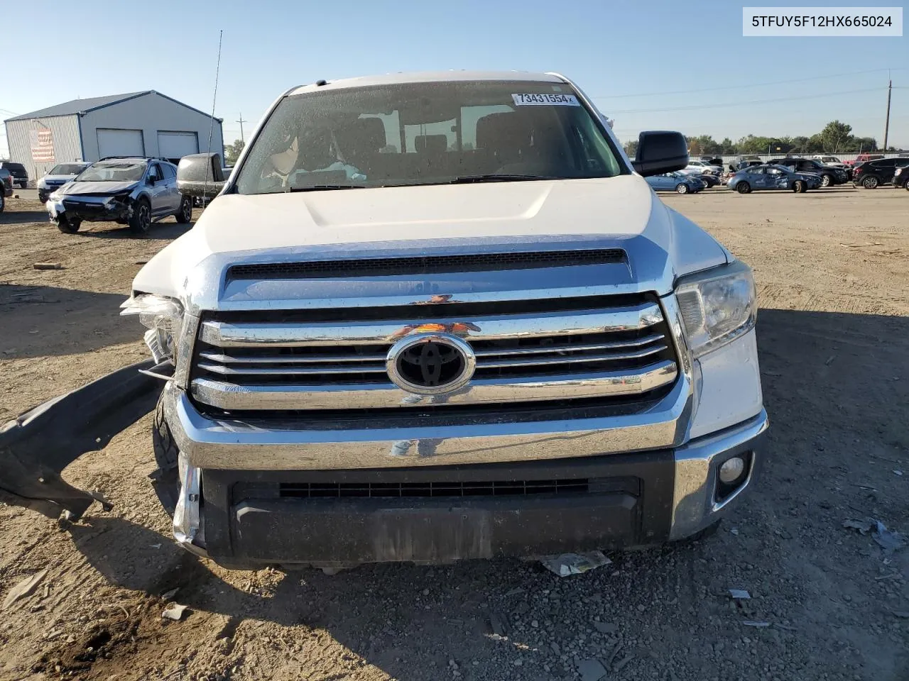 2017 Toyota Tundra Double Cab Sr VIN: 5TFUY5F12HX665024 Lot: 73431554