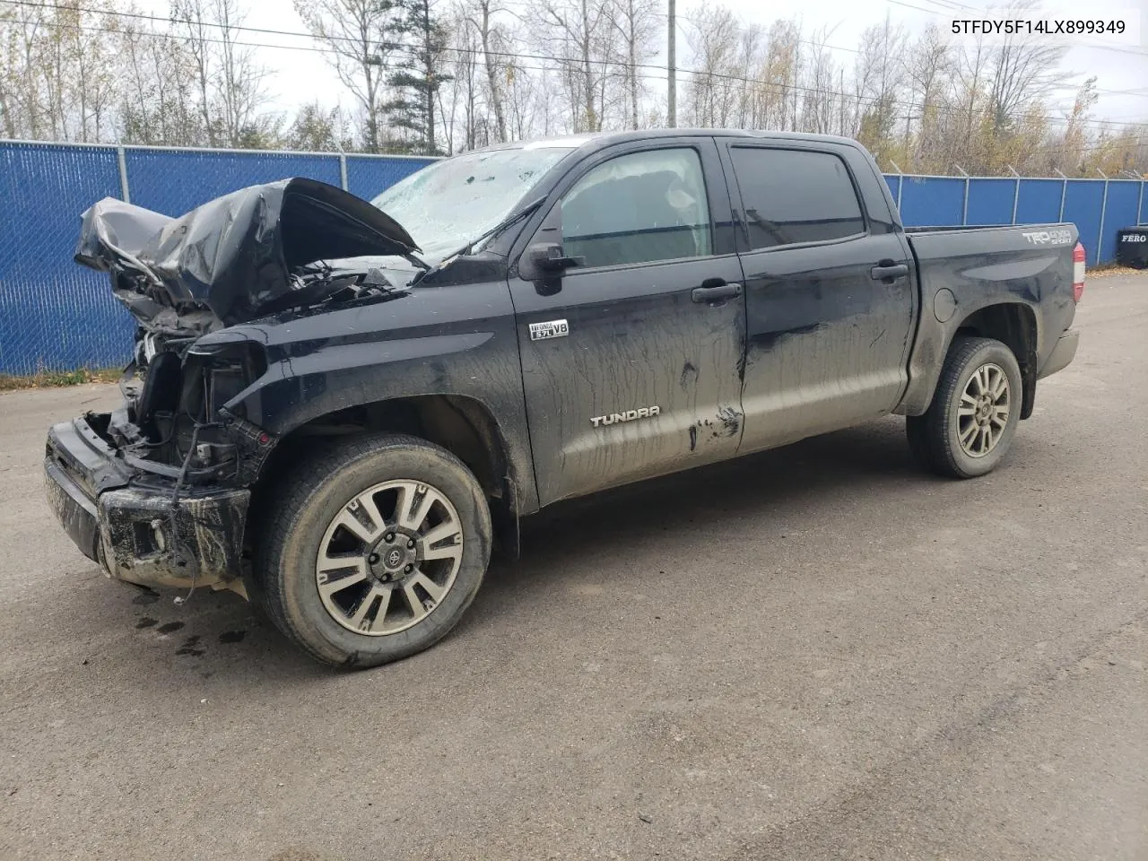 2020 Toyota Tundra Crewmax Sr5 VIN: 5TFDY5F14LX899349 Lot: 78451584