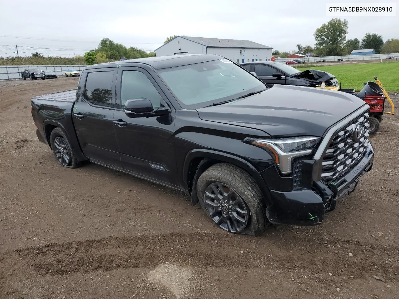 2022 Toyota Tundra Crewmax Platinum VIN: 5TFNA5DB9NX028910 Lot: 73638914