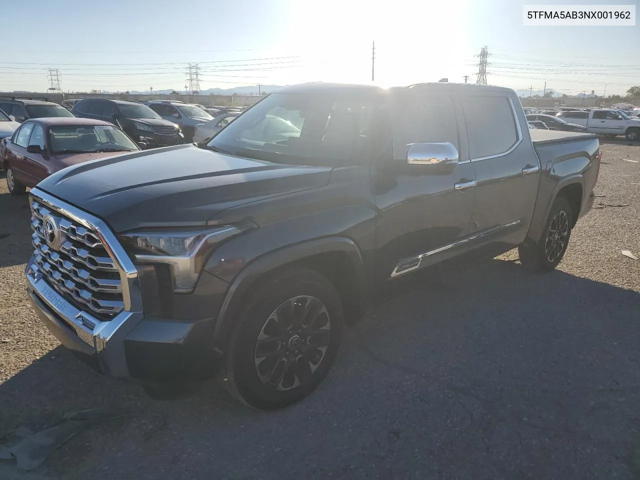 2022 Toyota Tundra Crewmax Platinum VIN: 5TFMA5AB3NX001962 Lot: 79037964