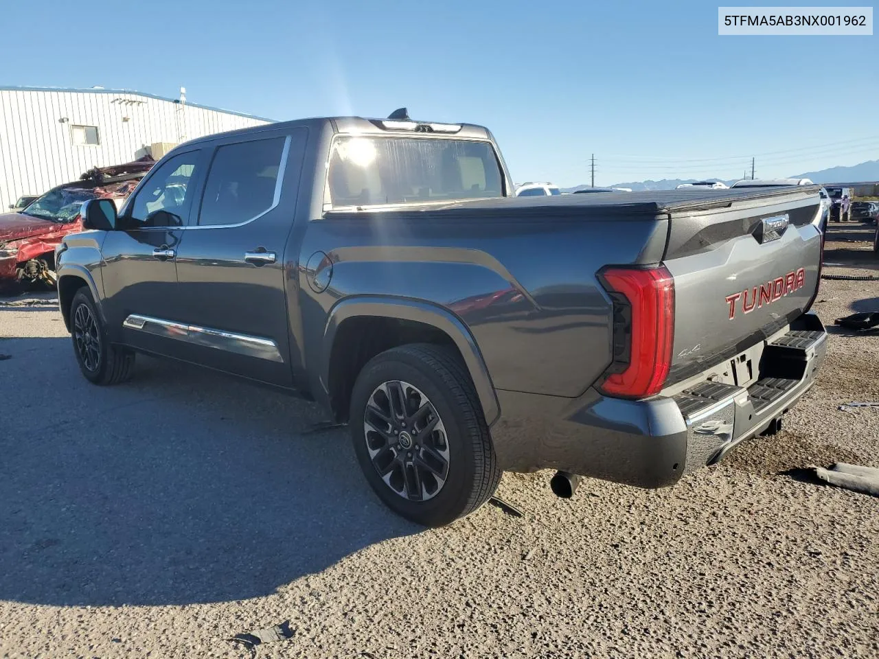 2022 Toyota Tundra Crewmax Platinum VIN: 5TFMA5AB3NX001962 Lot: 79037964