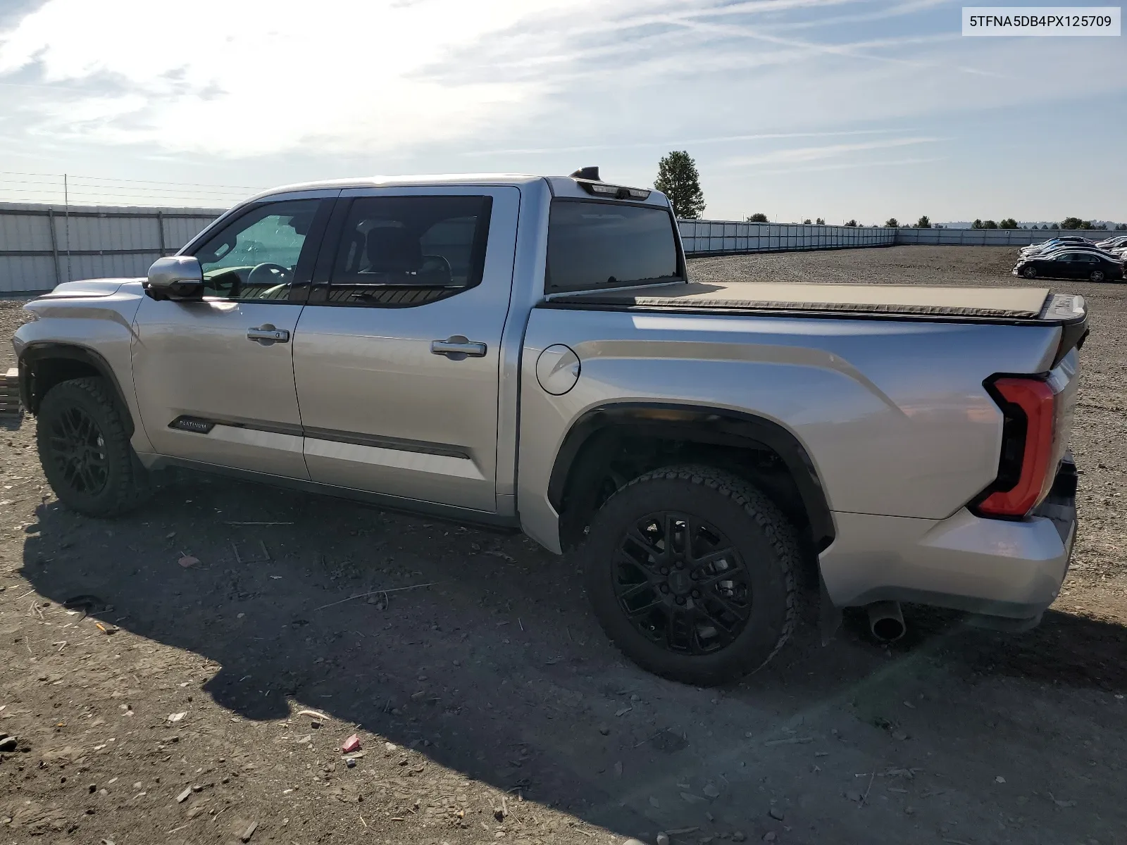 2023 Toyota Tundra Crewmax Platinum VIN: 5TFNA5DB4PX125709 Lot: 69103074