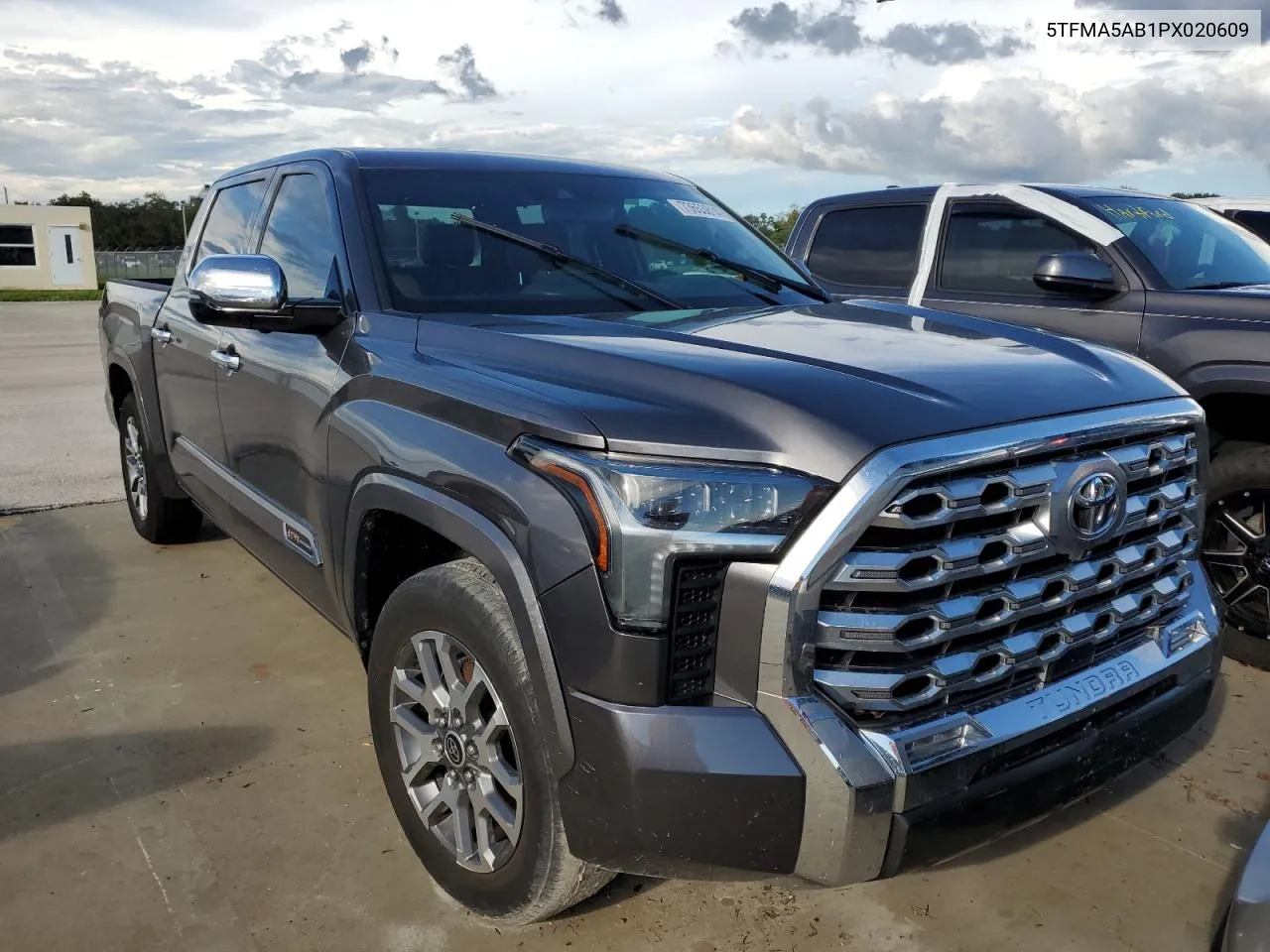 2023 Toyota Tundra Crewmax Platinum VIN: 5TFMA5AB1PX020609 Lot: 73653614