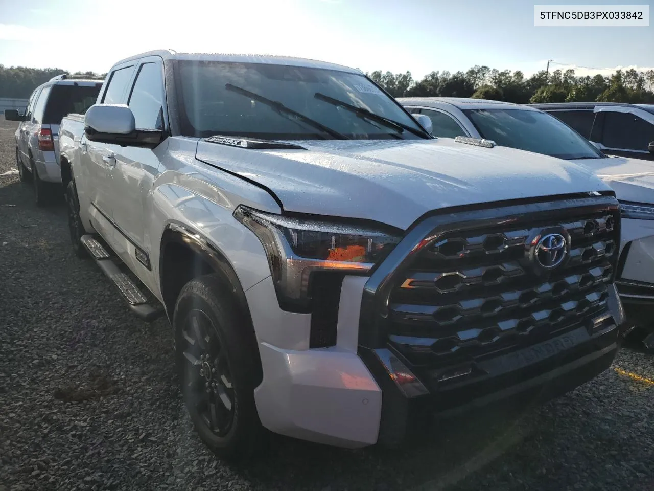 2023 Toyota Tundra Crewmax Platinum VIN: 5TFNC5DB3PX033842 Lot: 73666724