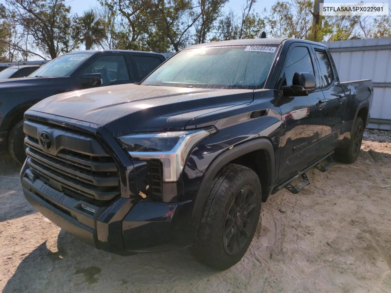 2023 Toyota Tundra Double Cab Sr VIN: 5TFLA5AA5PX022981 Lot: 76268874