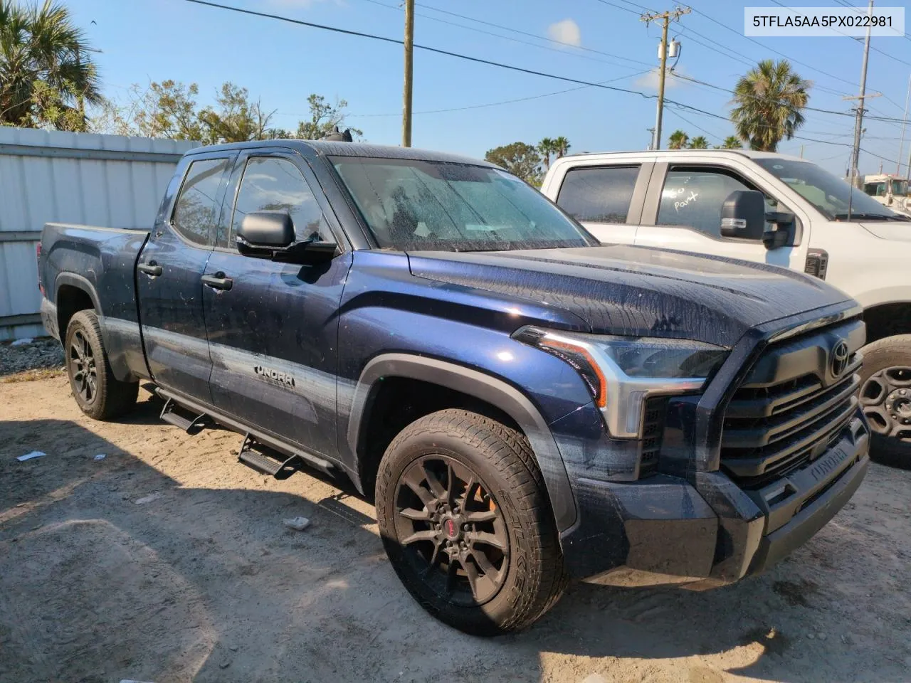 2023 Toyota Tundra Double Cab Sr VIN: 5TFLA5AA5PX022981 Lot: 76268874