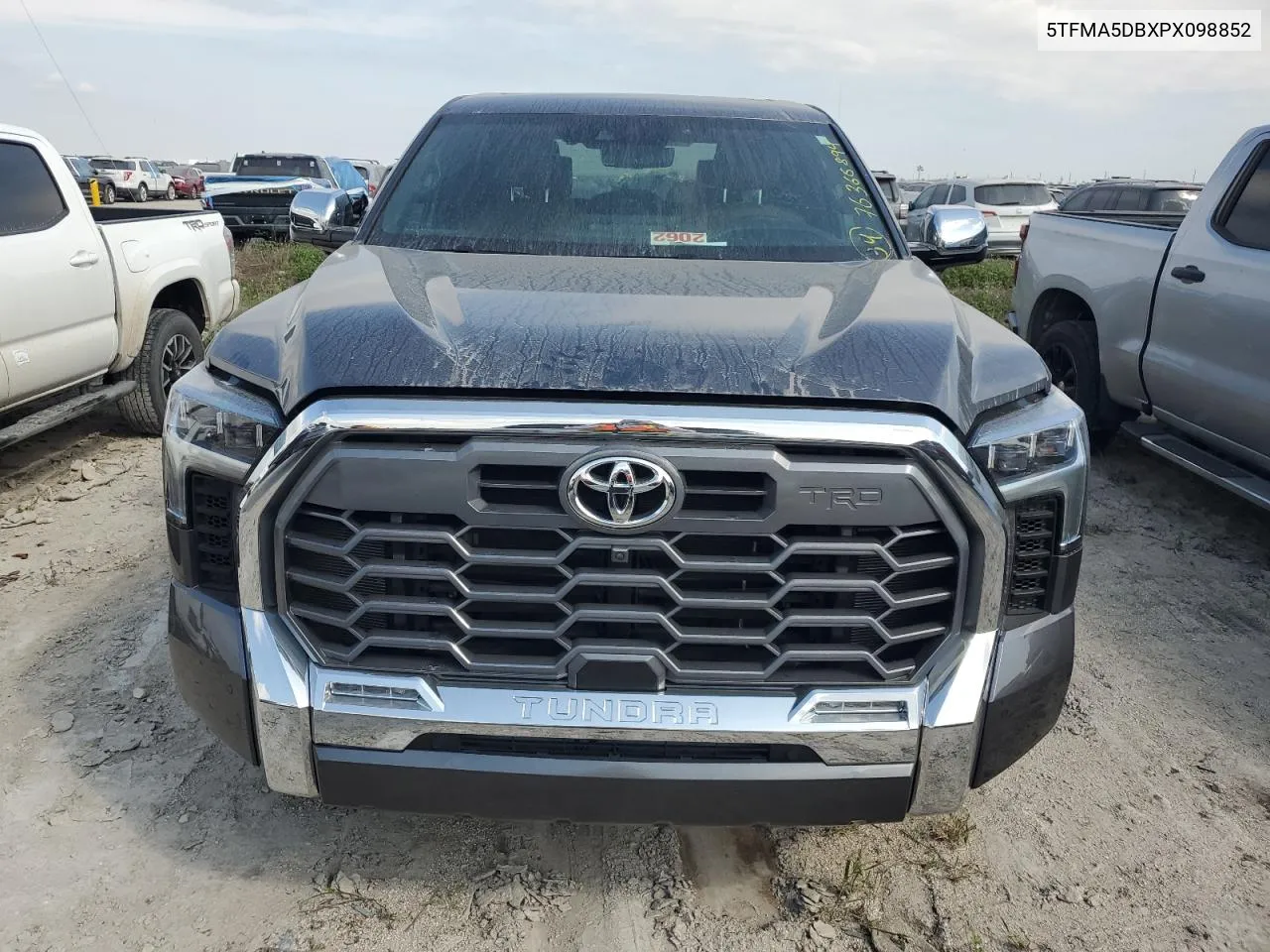 2023 Toyota Tundra Crewmax Platinum VIN: 5TFMA5DBXPX098852 Lot: 76366894