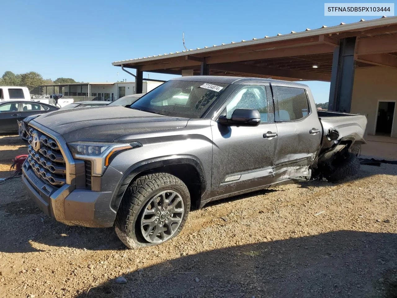 2023 Toyota Tundra Crewmax Platinum VIN: 5TFNA5DB5PX103444 Lot: 77134874