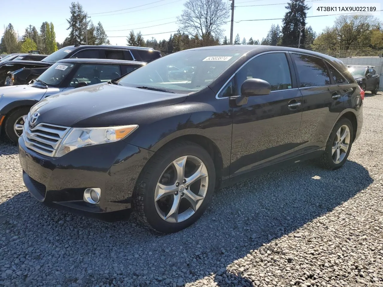 2009 Toyota Venza VIN: 4T3BK11AX9U022189 Lot: 52683874